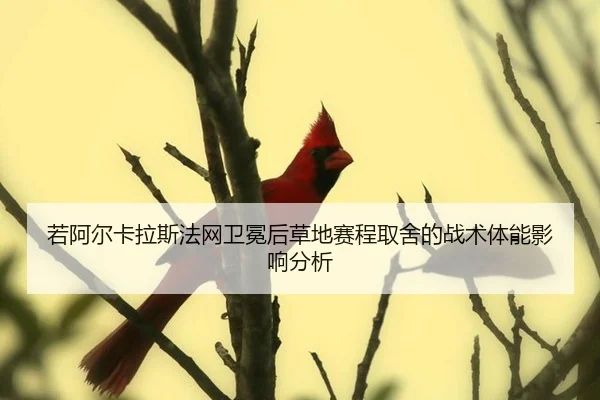 ruo-a-er-ka-la-si-fa-wang-wei-mian-hou-cao-di-sai-cheng-qu-she-de-zhan-shu-ti-neng-ying-xiang-fen-xi-2-269.jpg